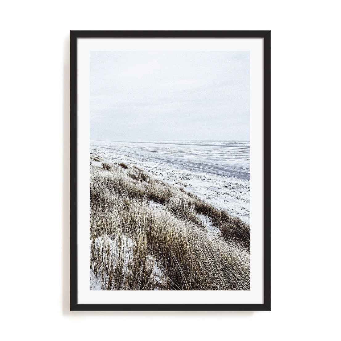 Coastal II