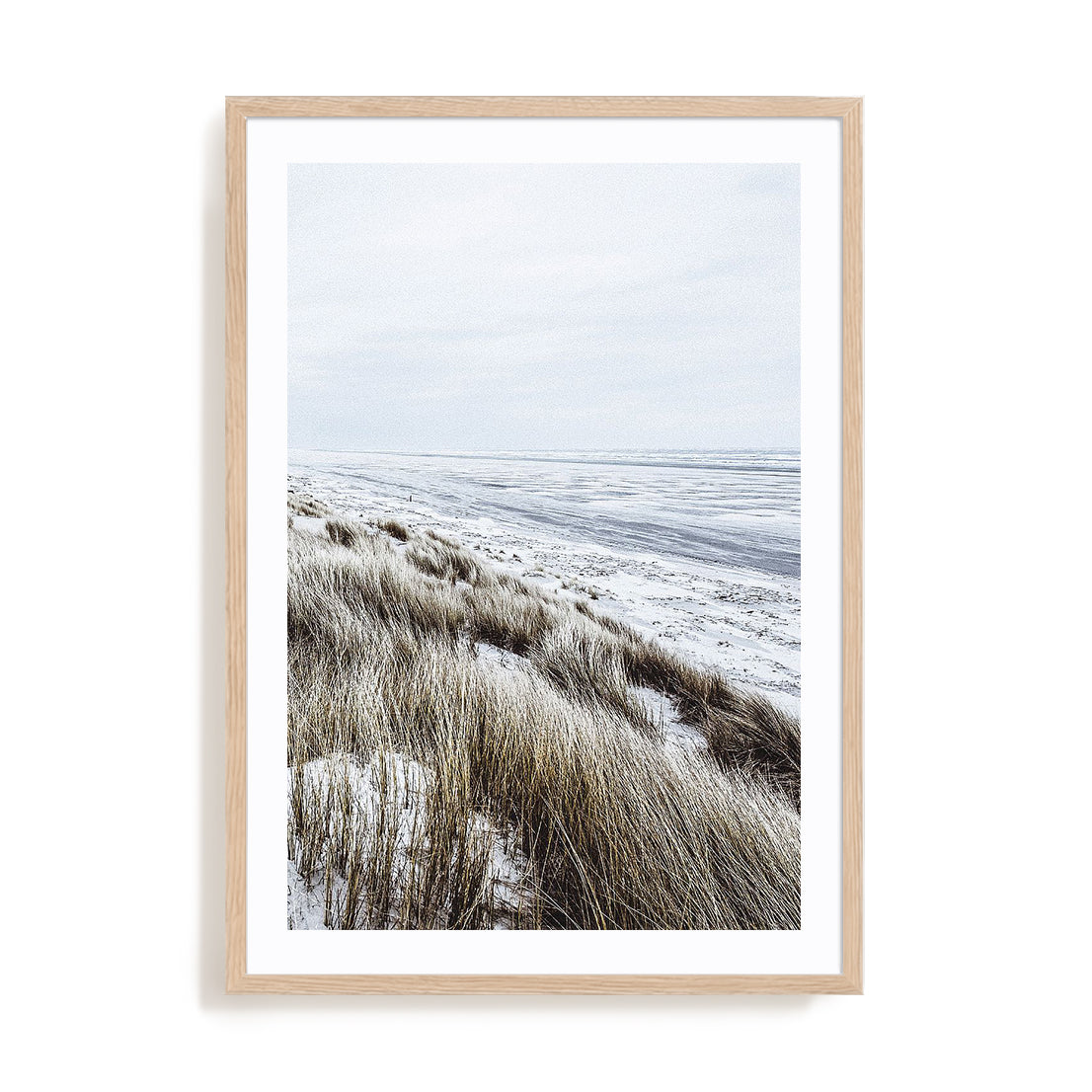 Coastal II