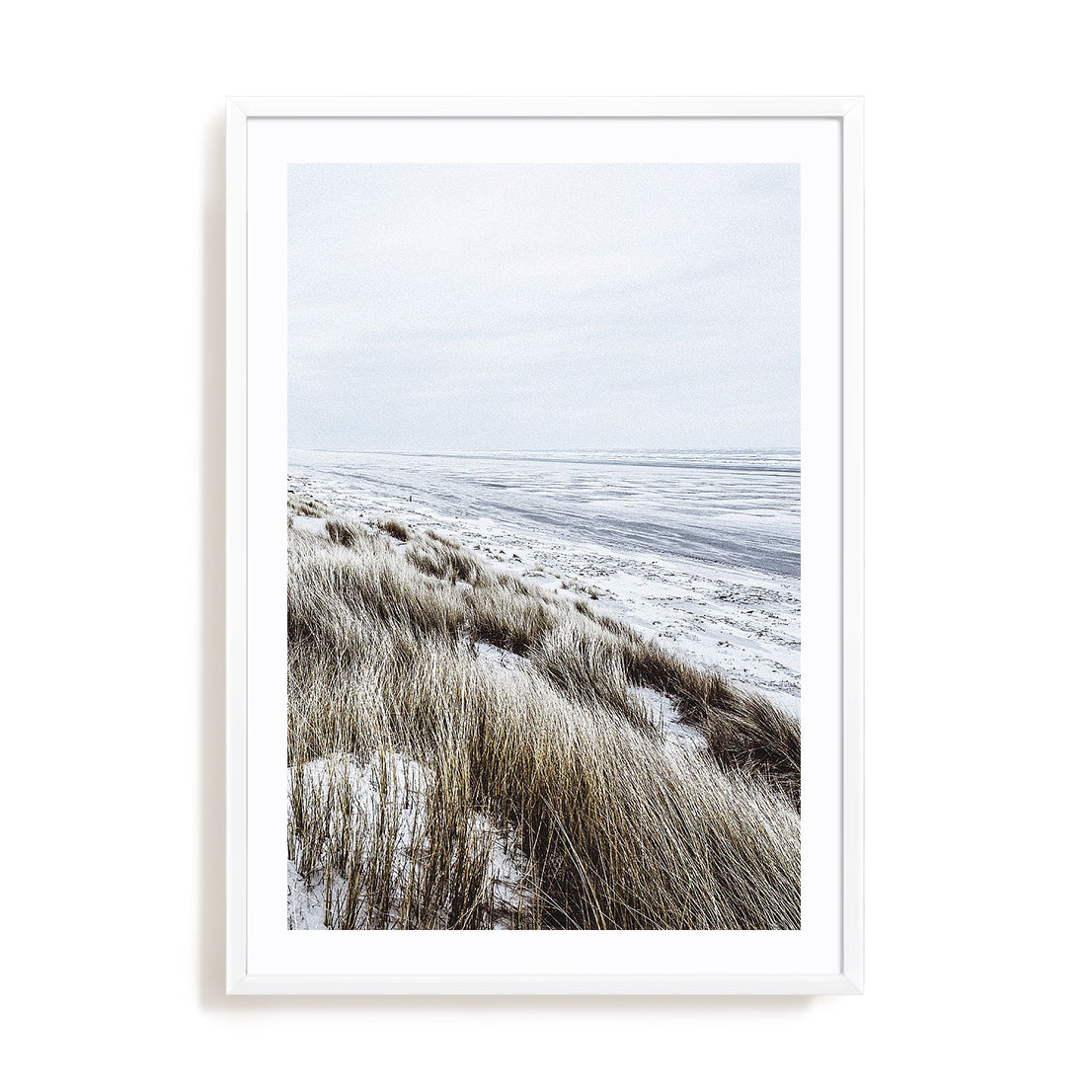 Coastal II