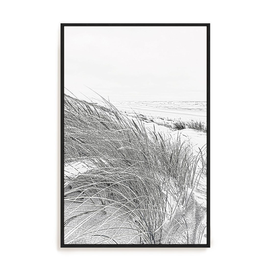 Coastal III
