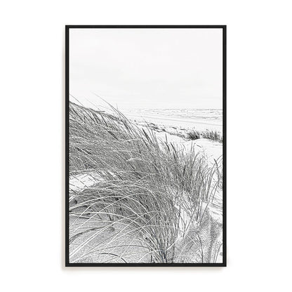 Coastal III