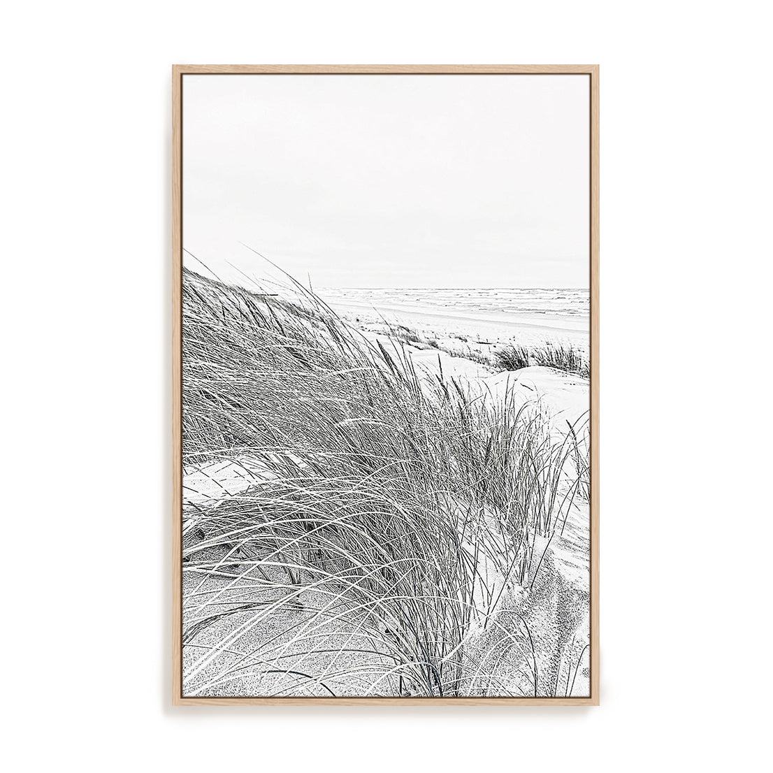 Coastal III