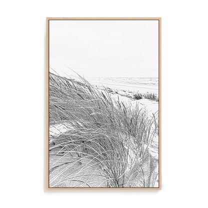 Coastal III