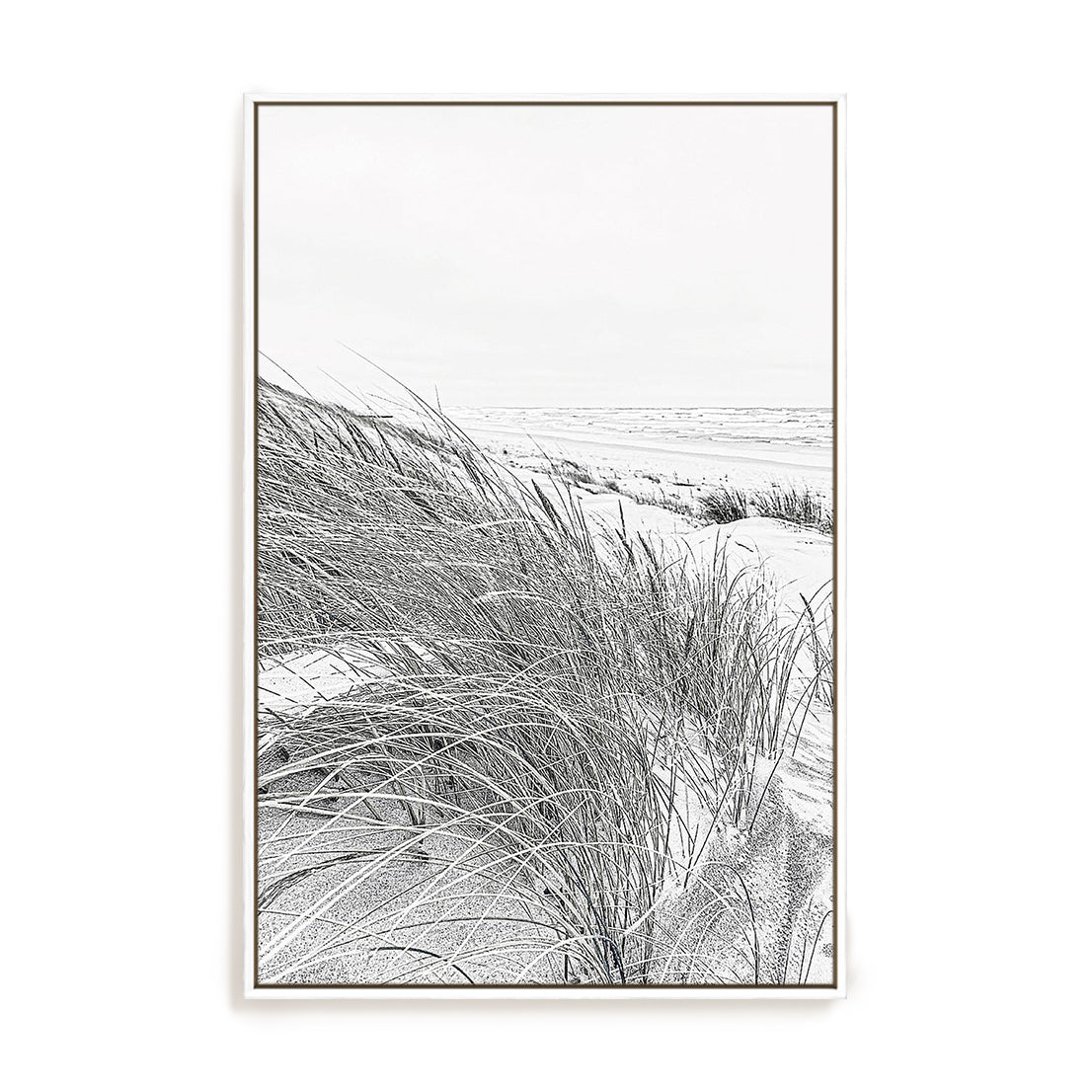 Coastal III