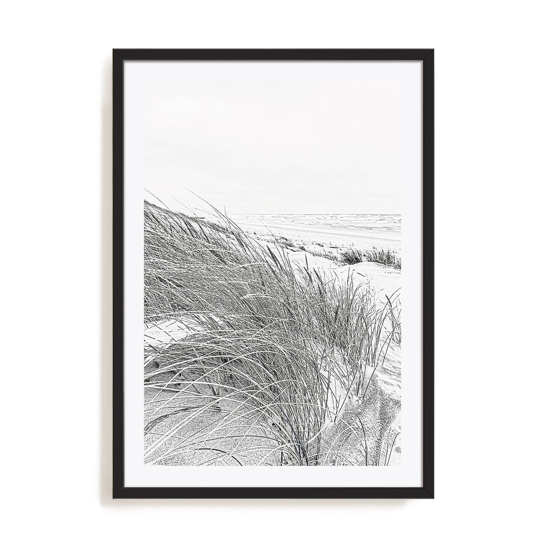 Coastal III