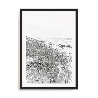Coastal III