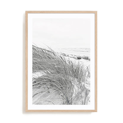Coastal III