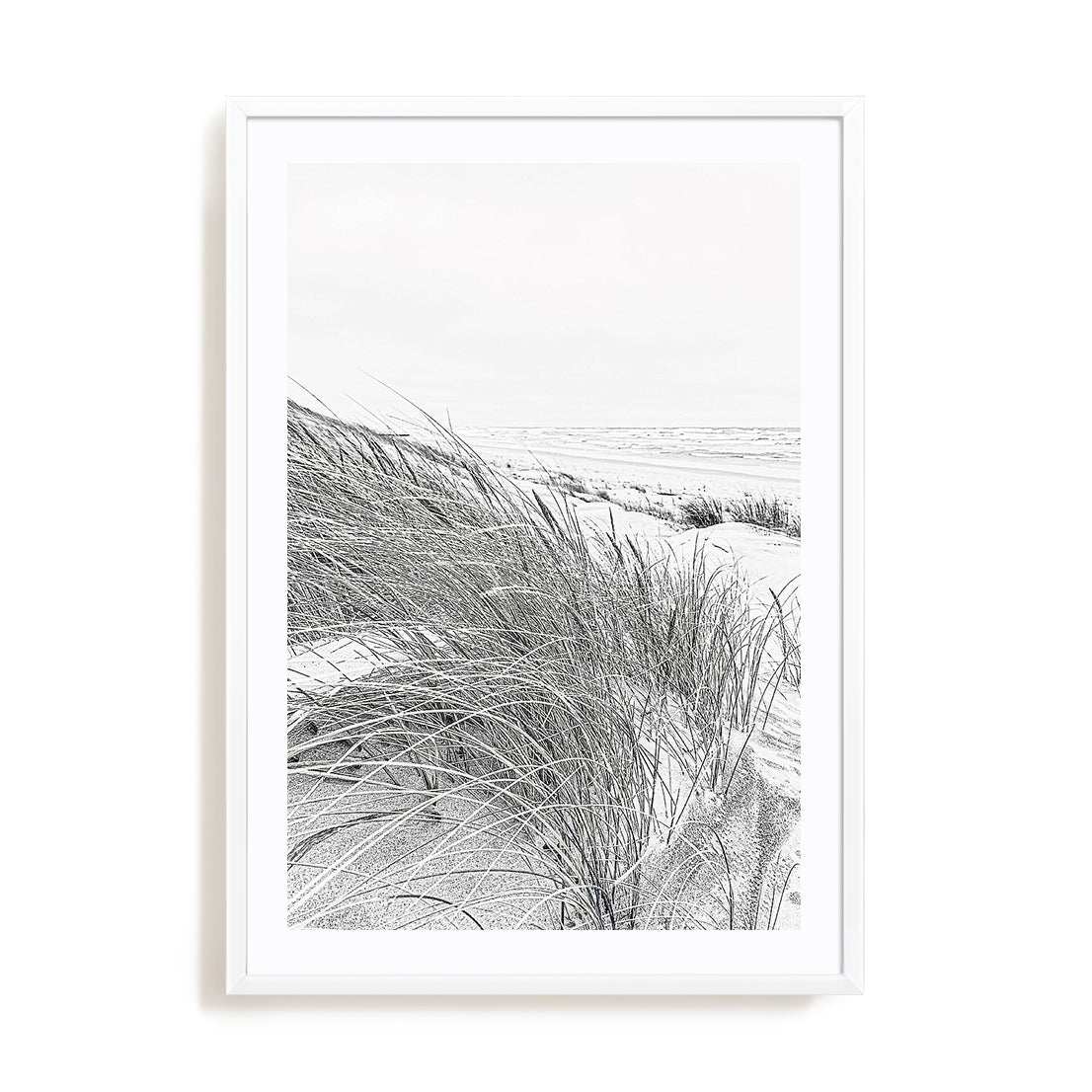 Coastal III