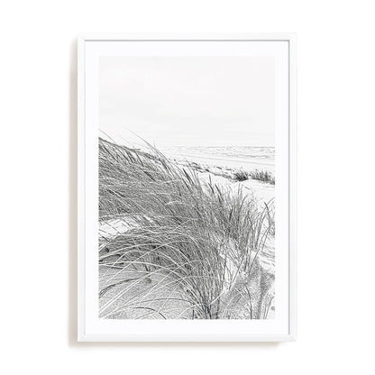 Coastal III