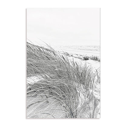 Coastal III