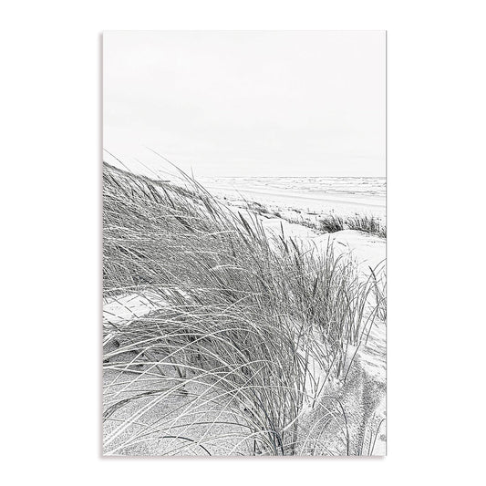 Coastal III