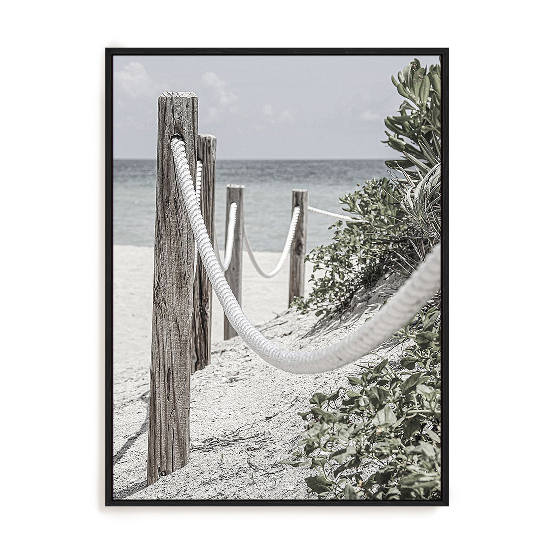 Beach Path with Ropes