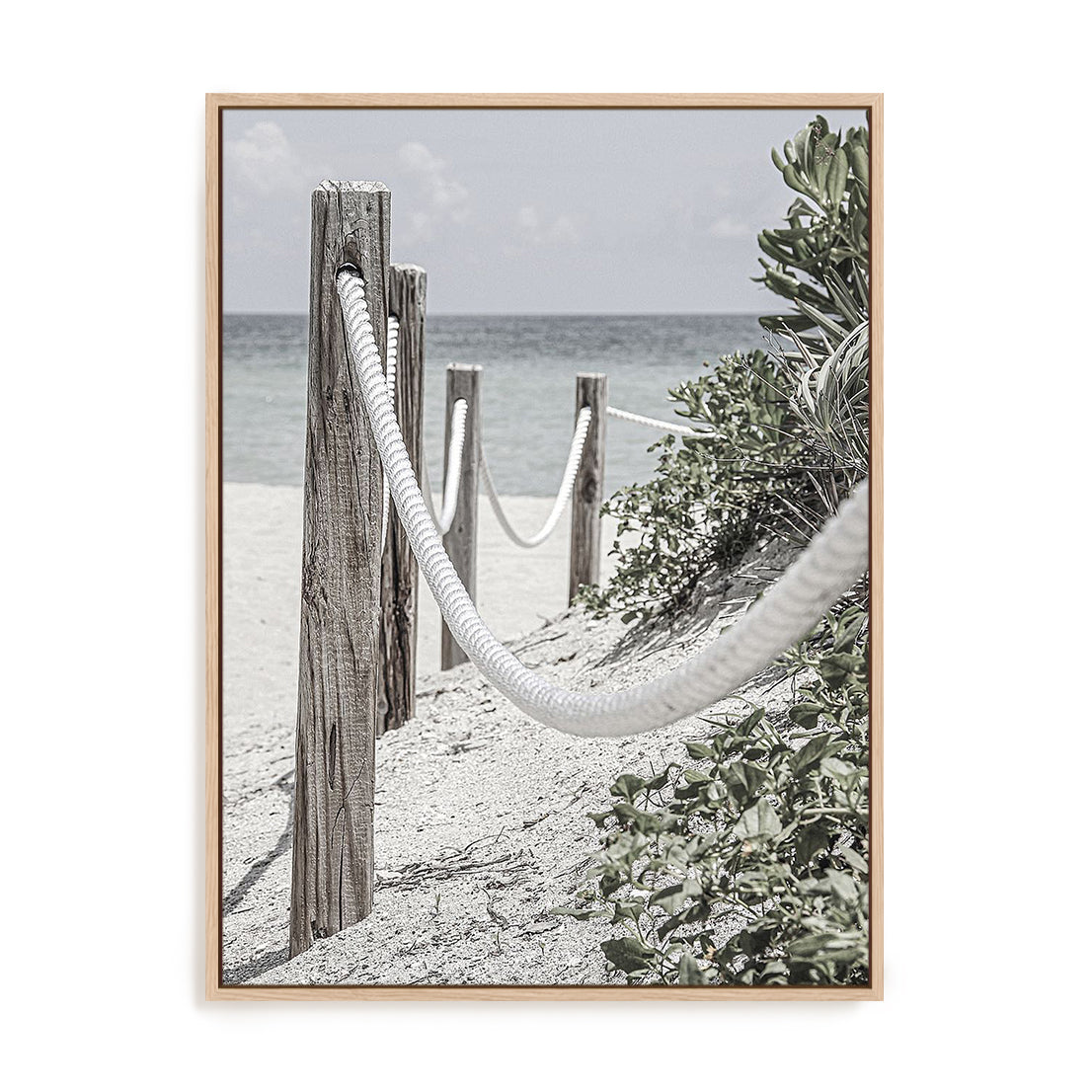 Beach Path with Ropes