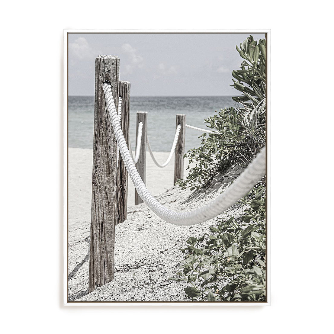 Beach Path with Ropes