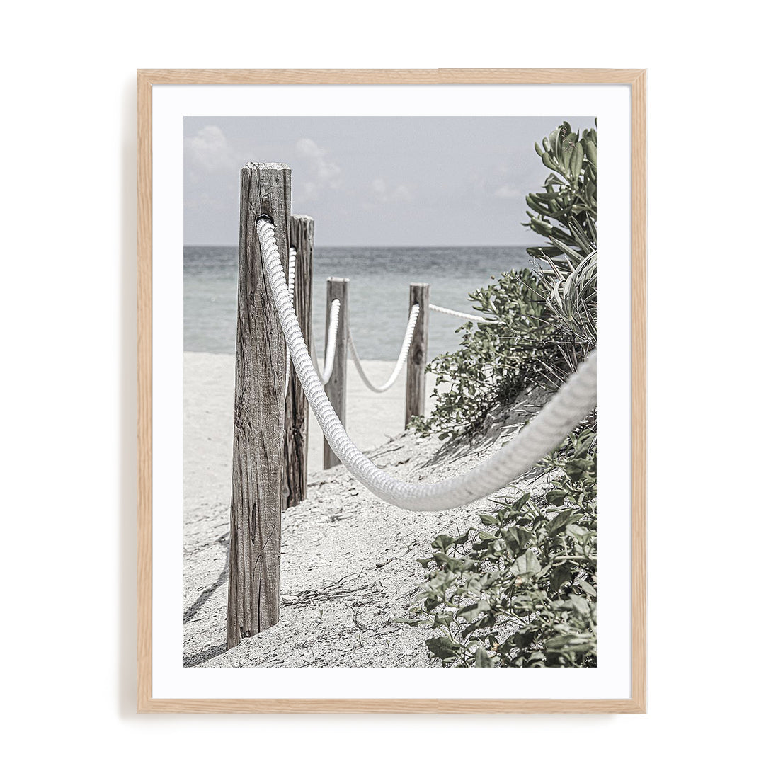 Beach Path with Ropes