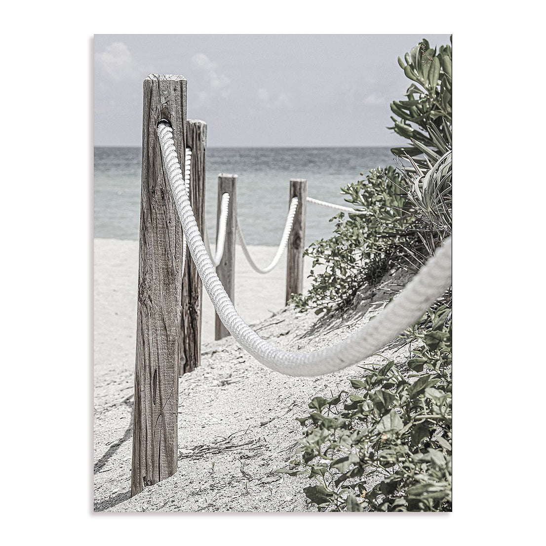 Beach Path with Ropes