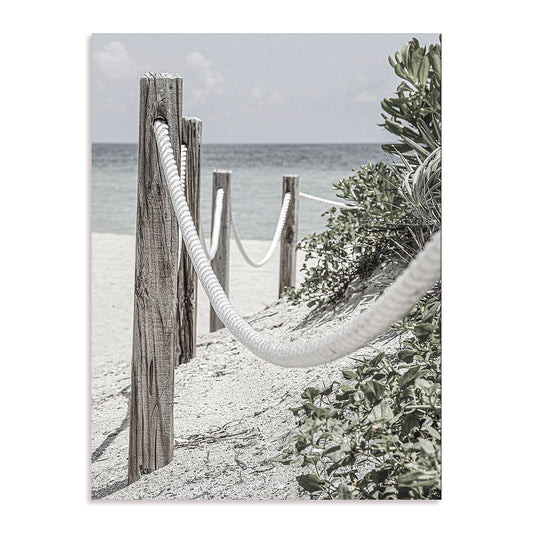 Beach Path with Ropes