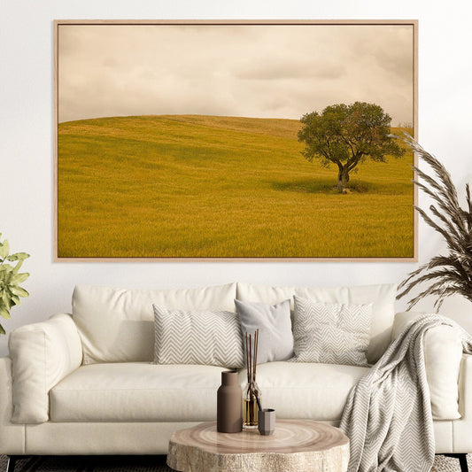 Field in Lower Tuscany