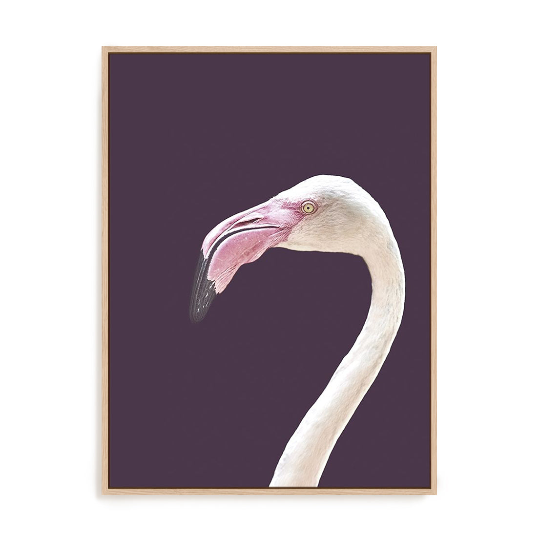 The Flamingo