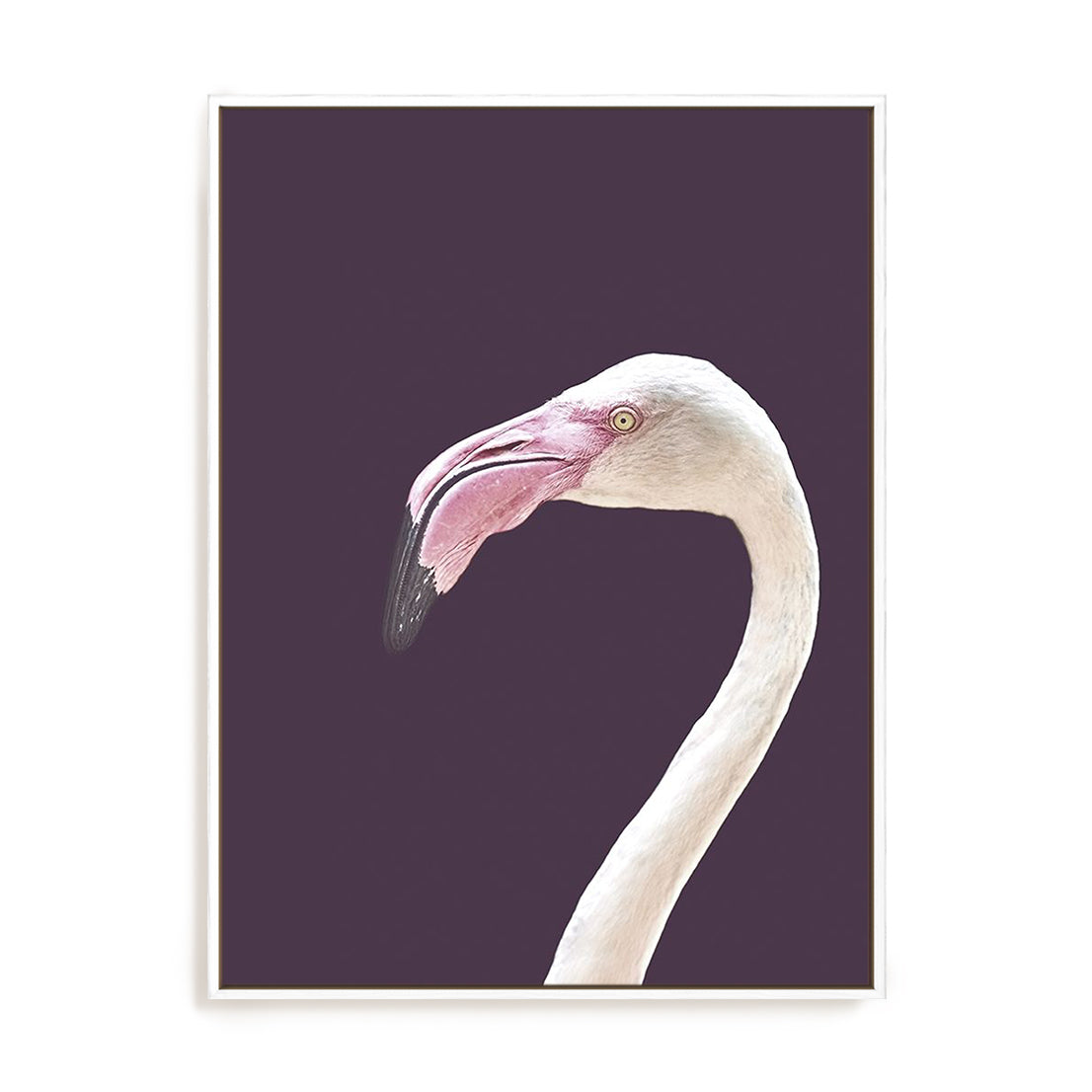 The Flamingo