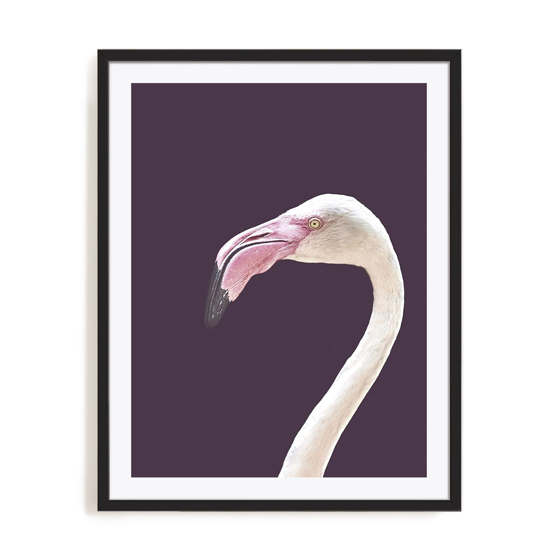 The Flamingo
