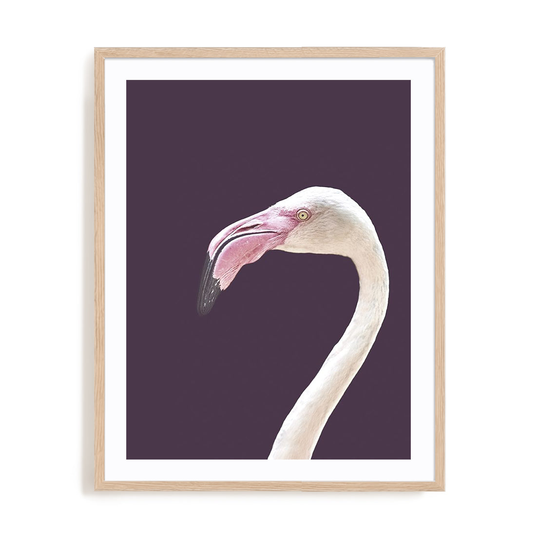 The Flamingo