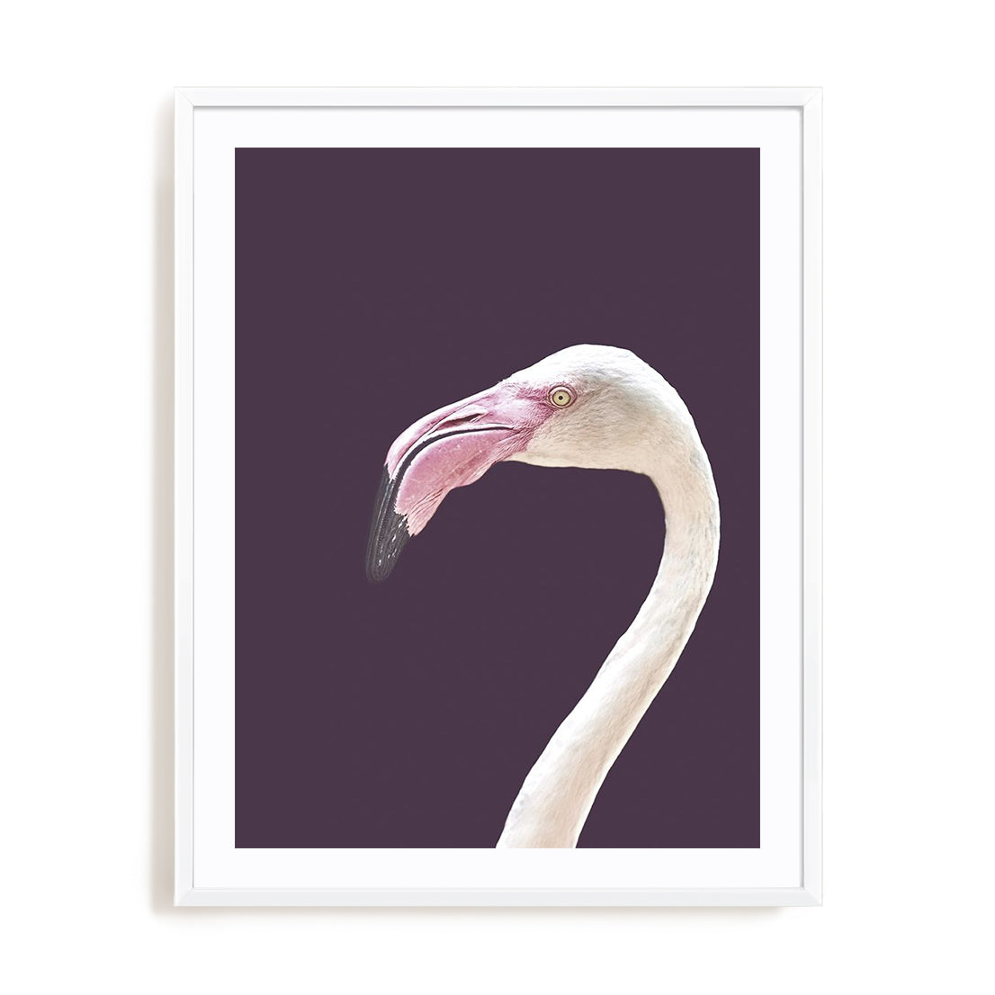 The Flamingo