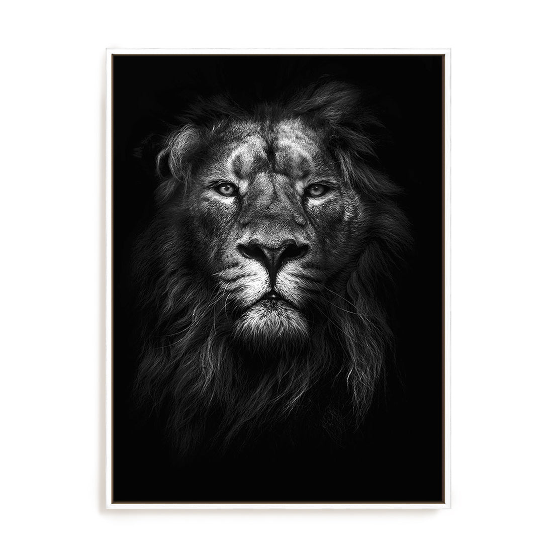 King Of Kings