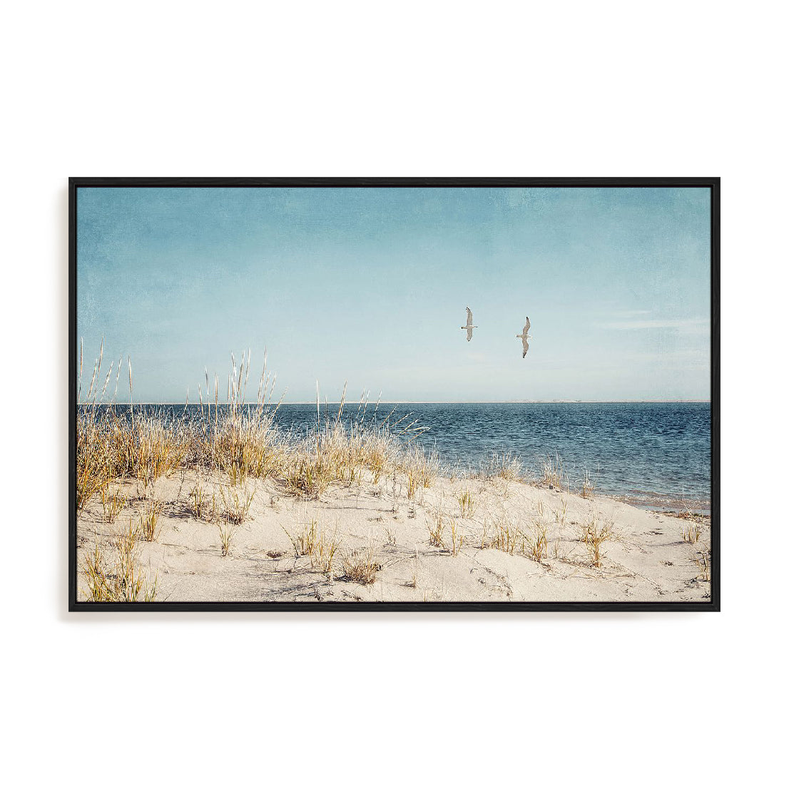 Beach Gulls Wall Art