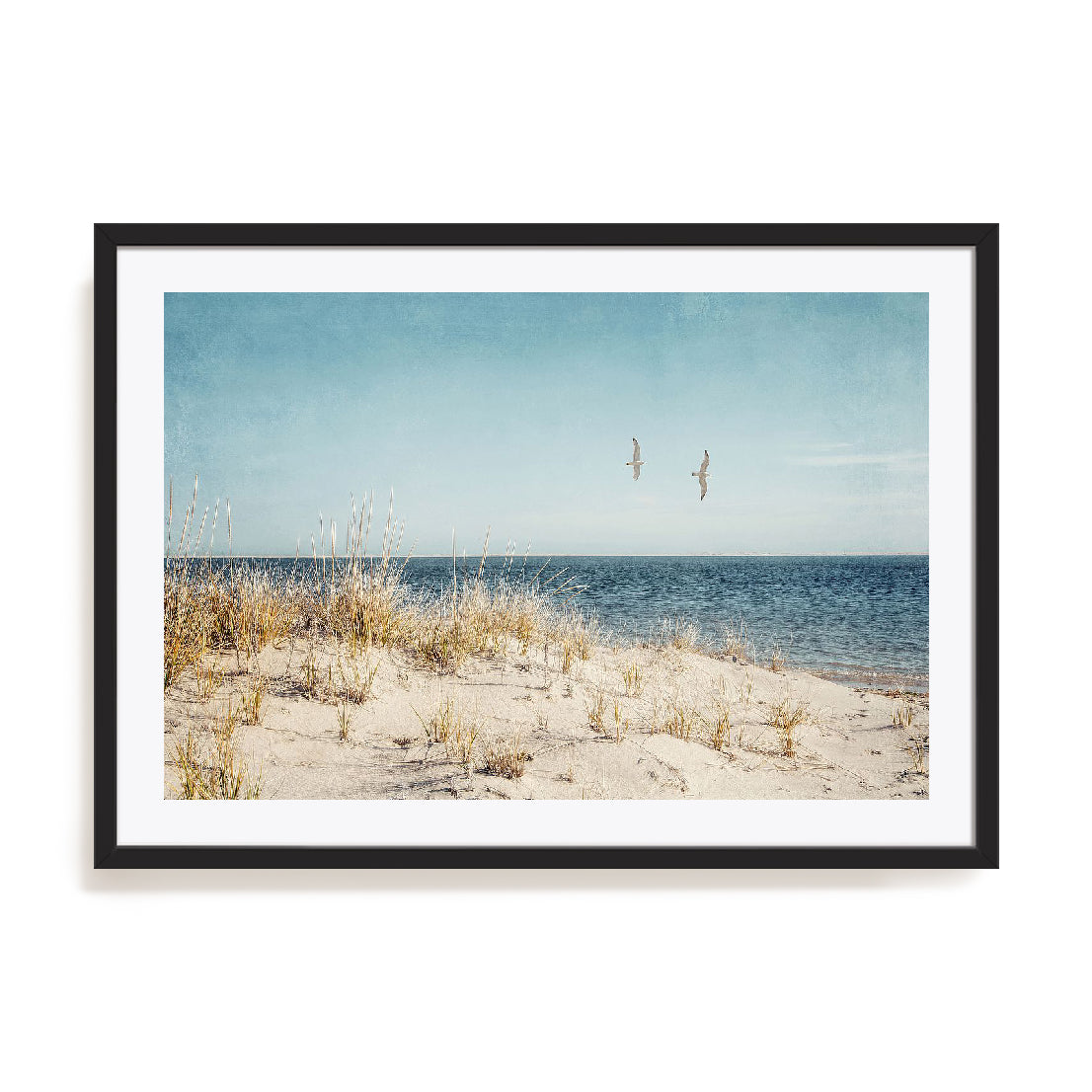 Beach Gulls Wall Art