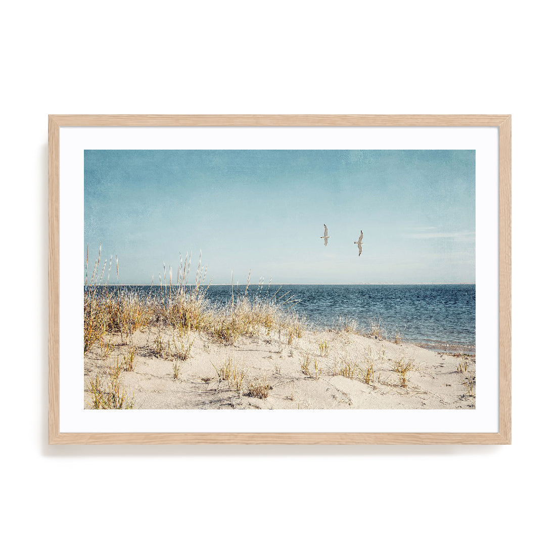 Beach Gulls Wall Art