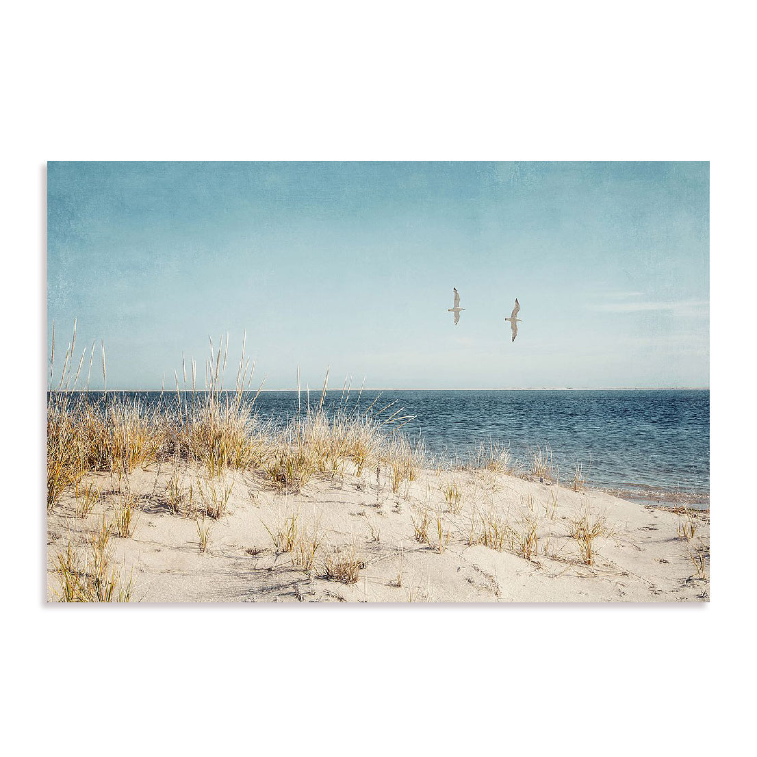 Beach Gulls Wall Art