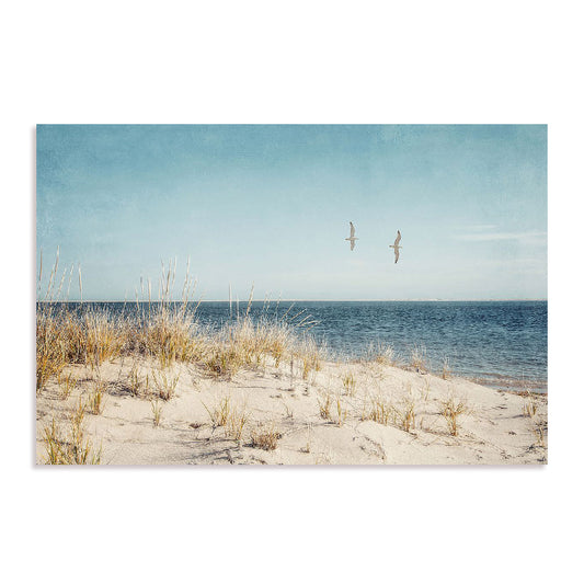 Beach Gulls Wall Art