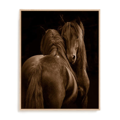 Tenderness I