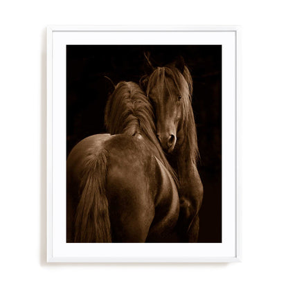 Tenderness I