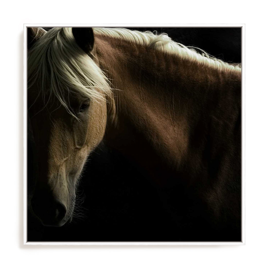 Spirit Horse