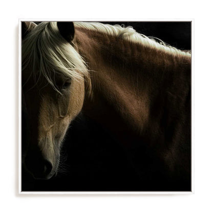 Spirit Horse