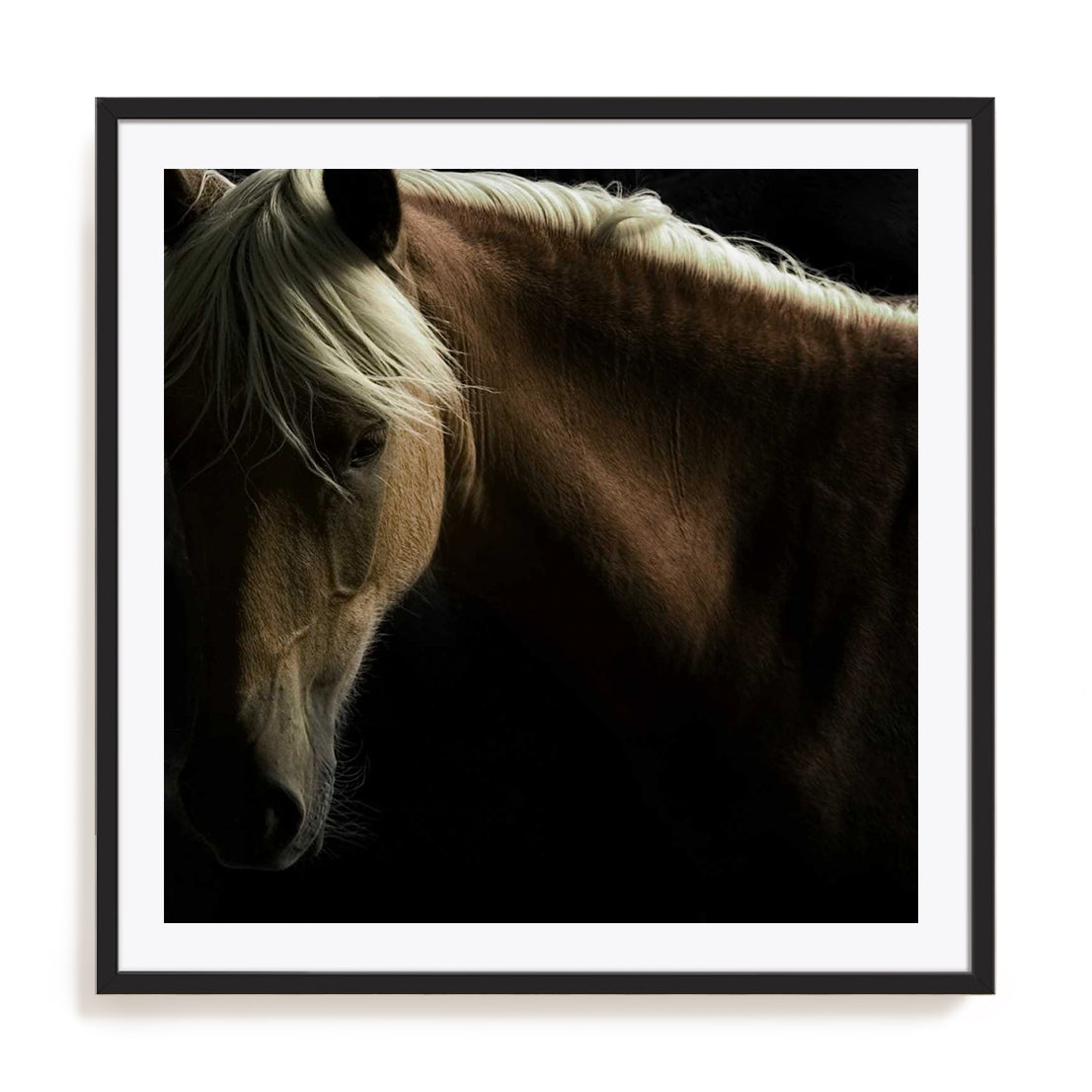 Spirit Horse