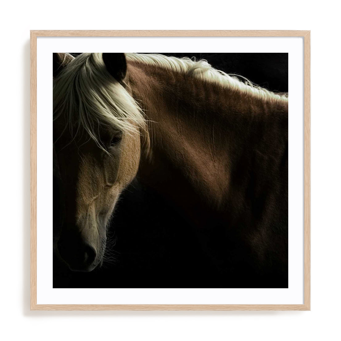 Spirit Horse