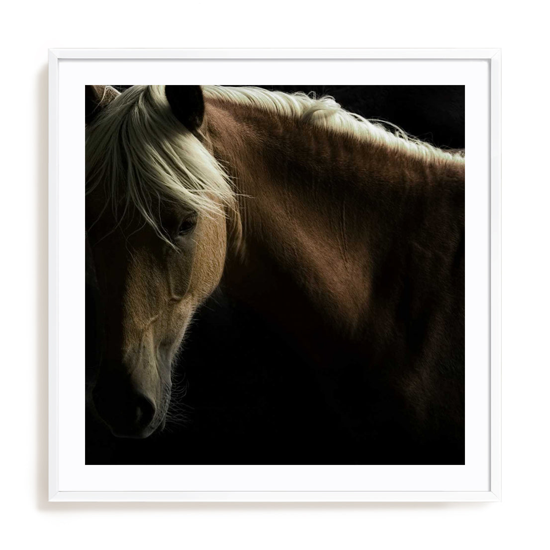 Spirit Horse