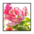 Parrot Tulip One Wall Art