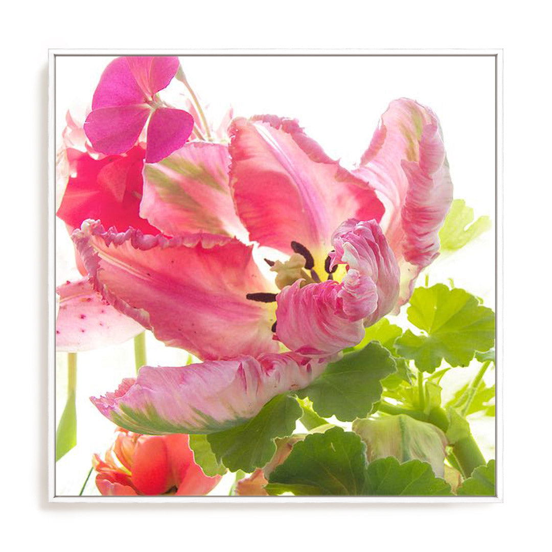 Parrot Tulip One Wall Art
