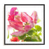 Parrot Tulip One Wall Art #oran_black-white-border