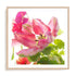 Parrot Tulip One Wall Art #oran_natural-white-border