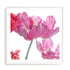 Parrot Tulips Wall Art #oran_white-white-border