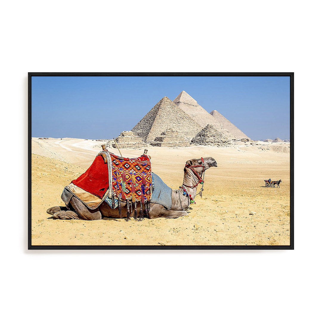 Camel Resting by the Pyramids Wall Art