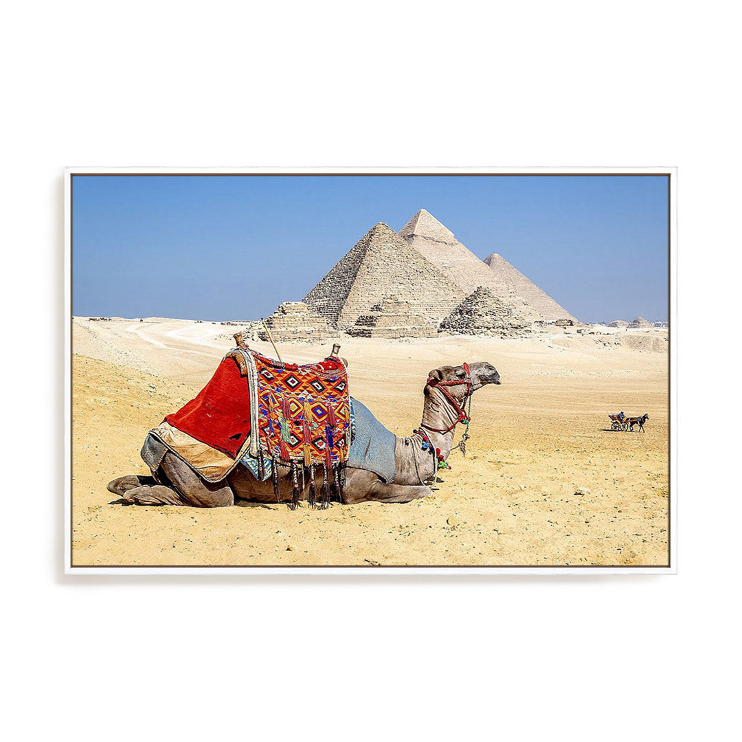 Camel Resting by the Pyramids Wall Art