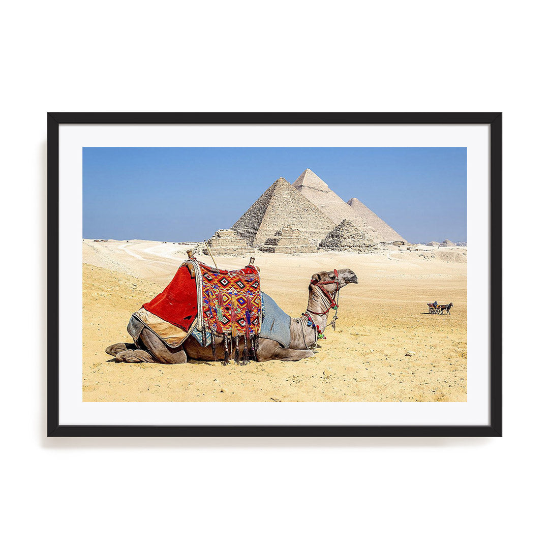 Camel Resting by the Pyramids Wall Art