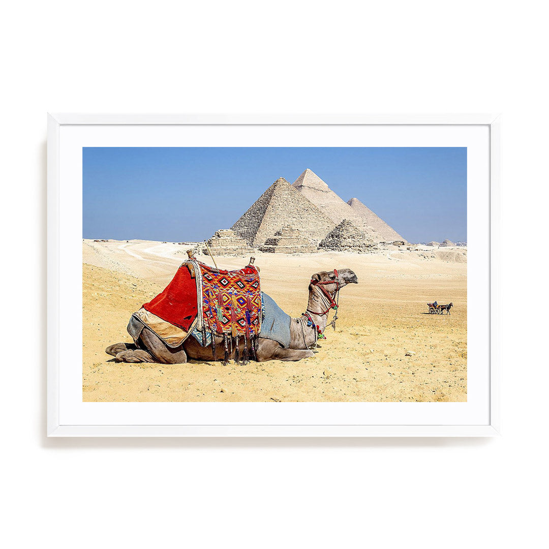 Camel Resting by the Pyramids Wall Art