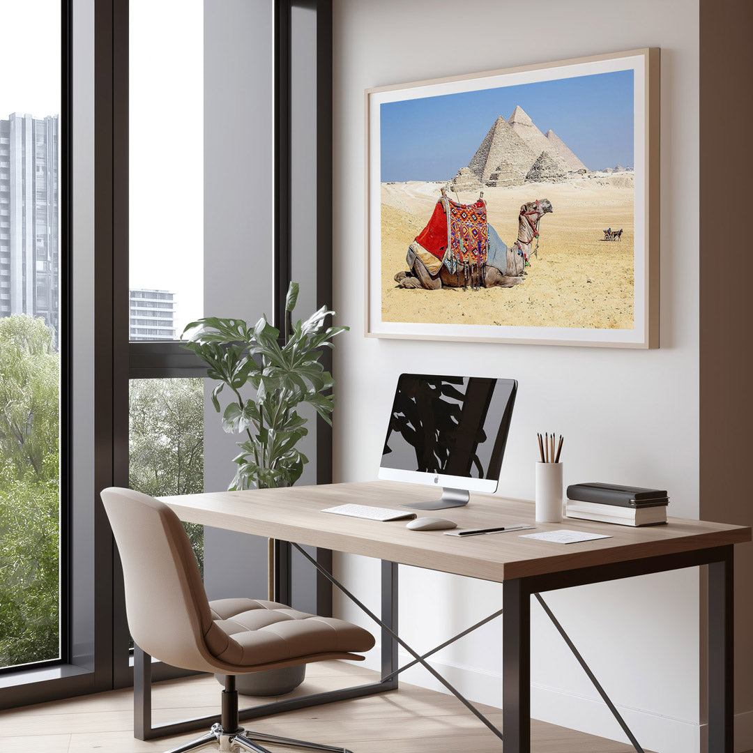Camel Resting by the Pyramids Wall Art